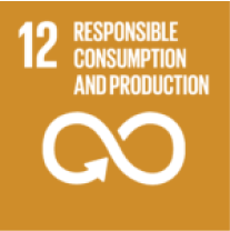 SDG 12 — Responsible consumption