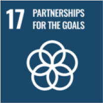 SDG 17 — Partnerships